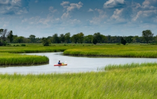 Photo of a Person Kayaking inside the Eastern Neck National Wildlife Refuge.