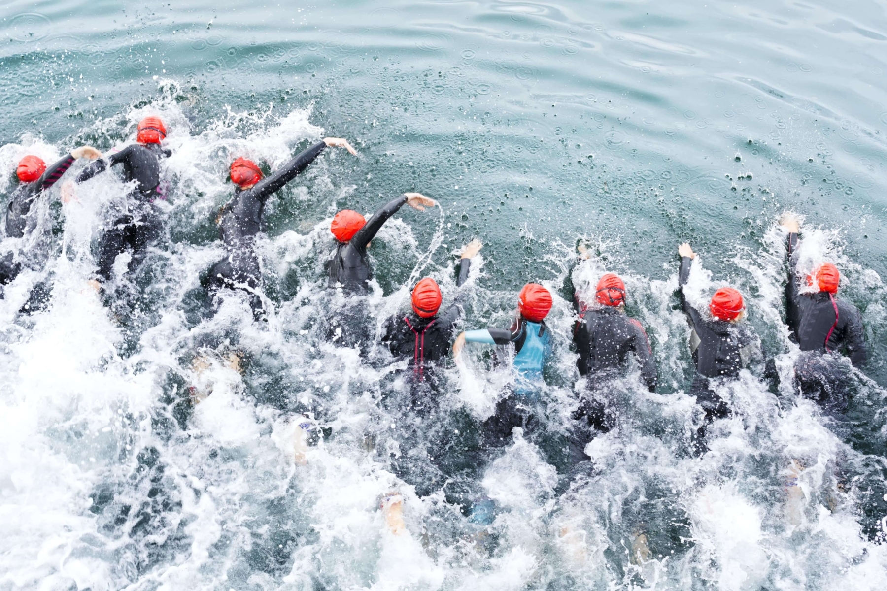 A large group of swimmers competing in the Rock Hall Triathlon