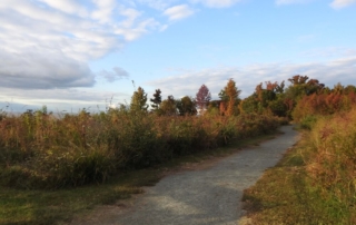 Fall foliage along a dirt path on Maryland's Eastern Shore