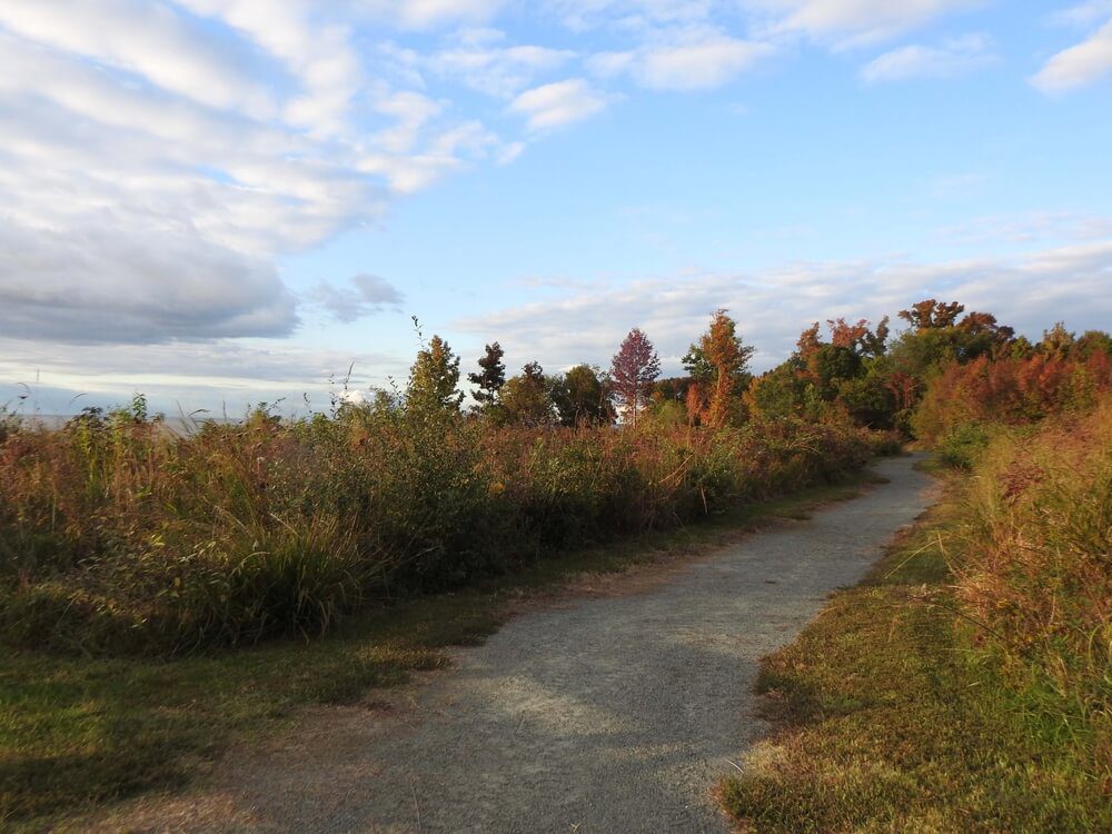 Fall foliage along a dirt path on Maryland's Eastern Shore